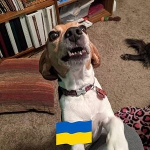 Meet your Posher, Renae